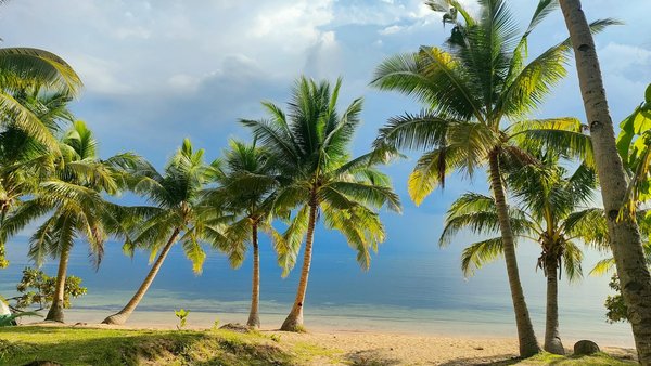 Quels sont les meilleurs spots pour faire de la plongée en apnée avec les poissons tropicaux à Bora Bora : équipements et périodes ?