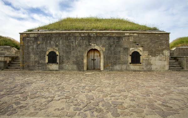 Comment trouver les meilleurs emplacements pour un camping en forêt de pins maritimes?
