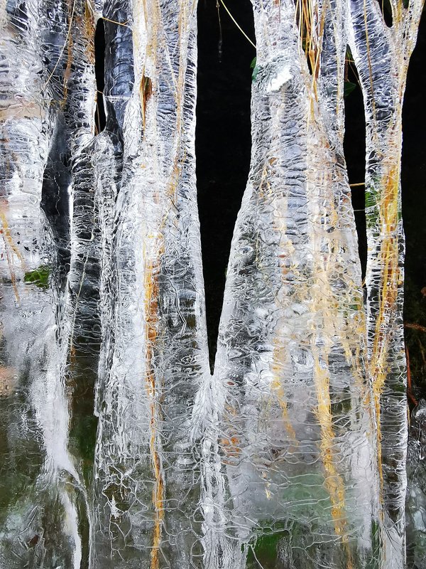 Quels sont les conseils pour un camping en région de marécage en hiver?